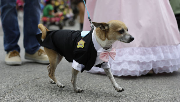 Animal shots of the week